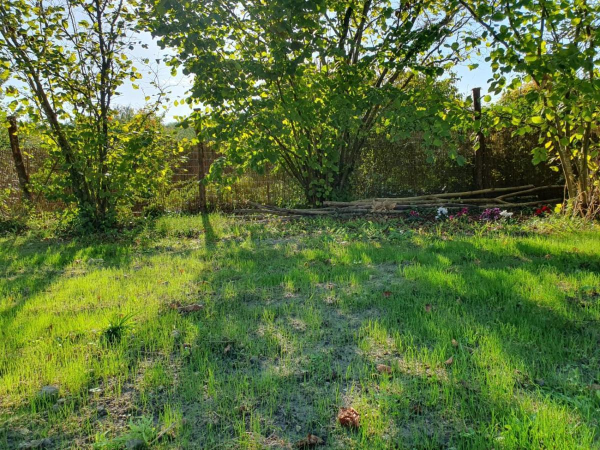 Studio Confort, Charme & Tranquilite Beaumont (Vienne) Exterior foto